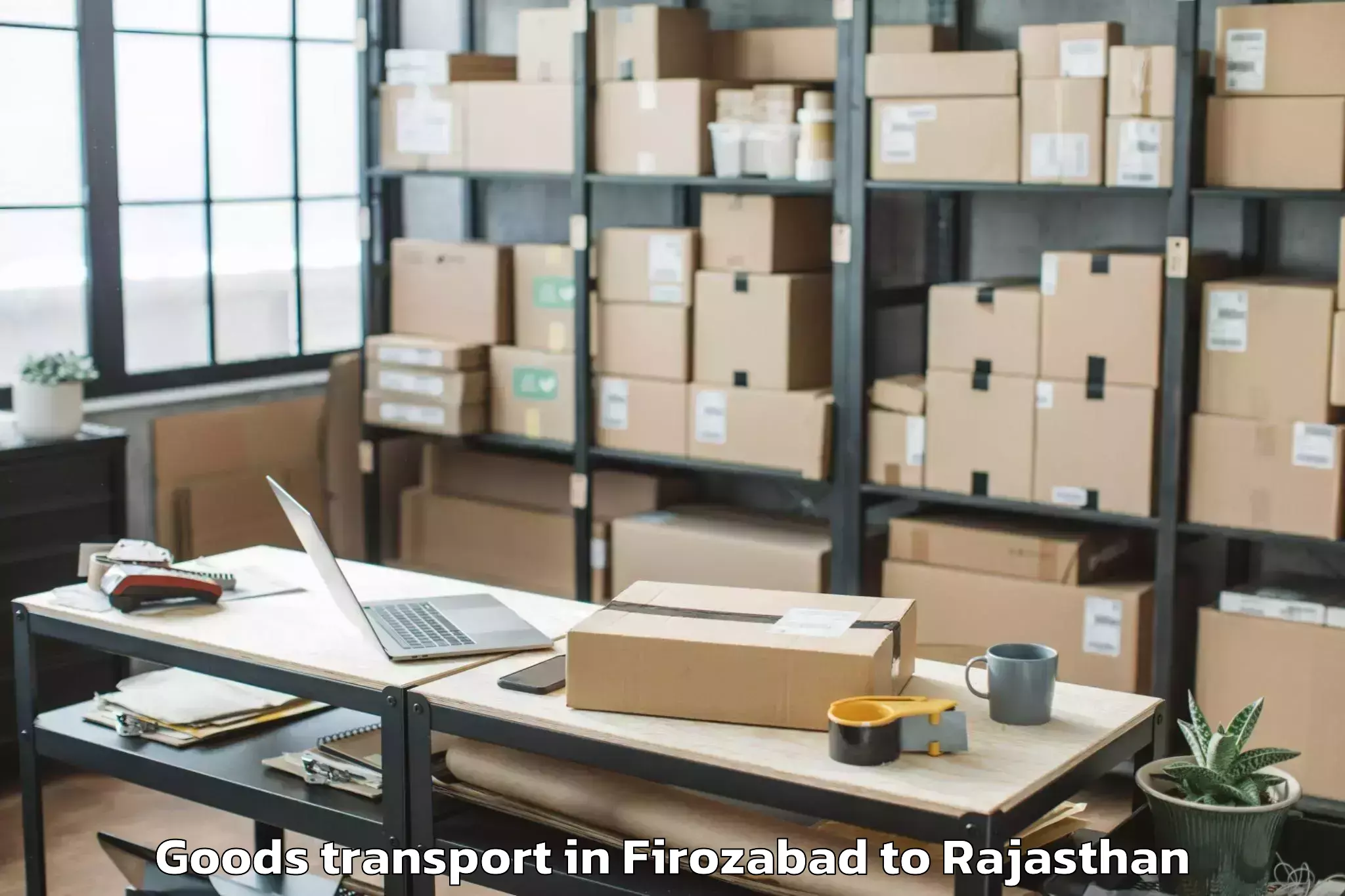 Professional Firozabad to Losal Goods Transport